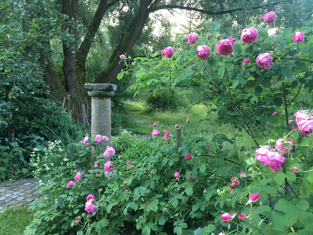 Naturnahes Gärtnern – Leicht gemacht